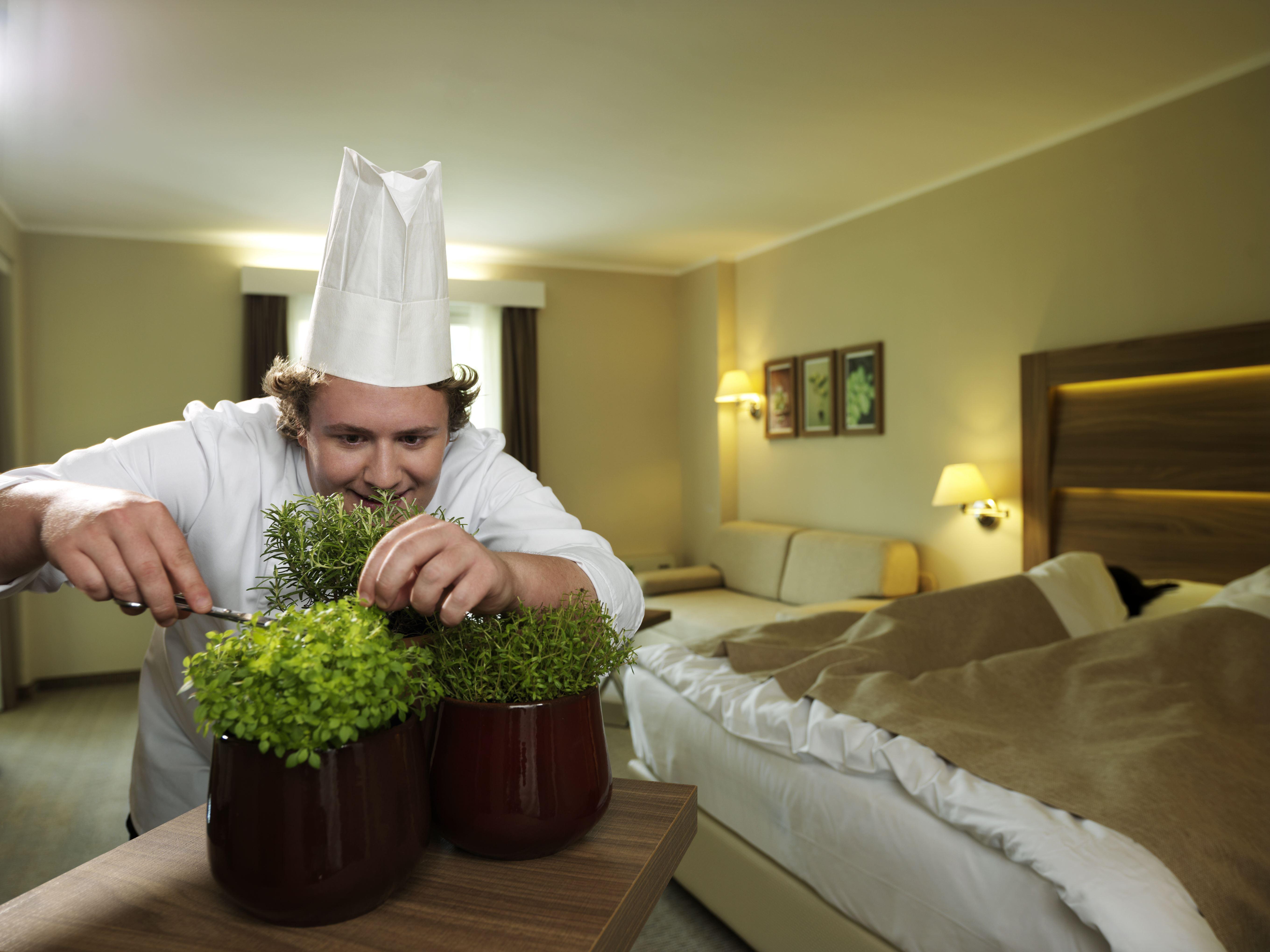 Wellness Hotel Apollo - Terme & Wellness Lifeclass ポルトローシュ エクステリア 写真